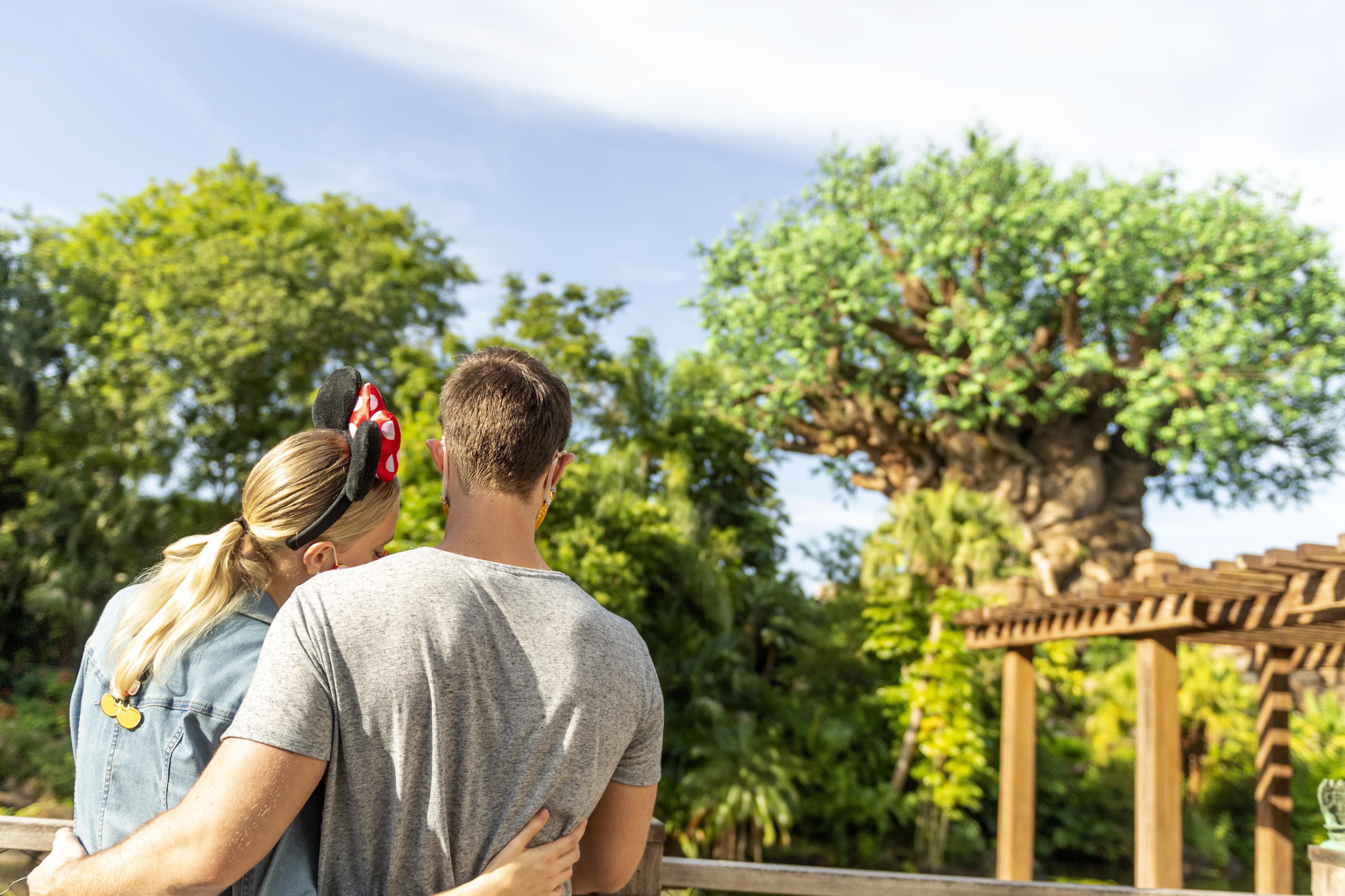 Disney'S Animal Kingdom Lodge Four Corners Экстерьер фото