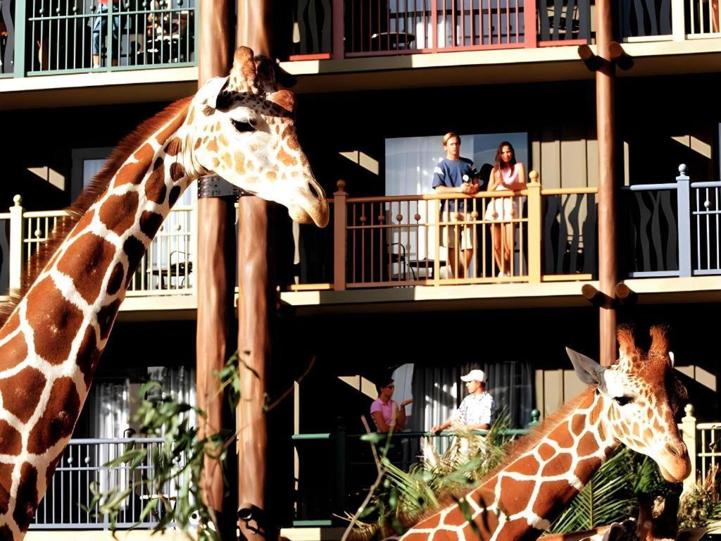 Disney'S Animal Kingdom Lodge Four Corners Экстерьер фото