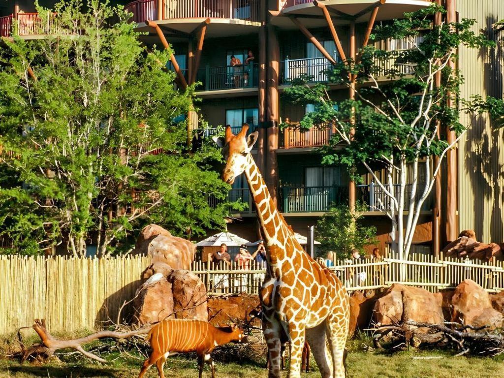 Disney'S Animal Kingdom Lodge Four Corners Экстерьер фото
