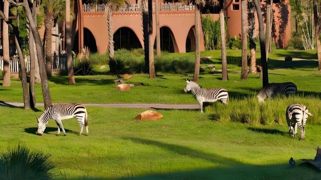 Disney'S Animal Kingdom Lodge Four Corners Экстерьер фото